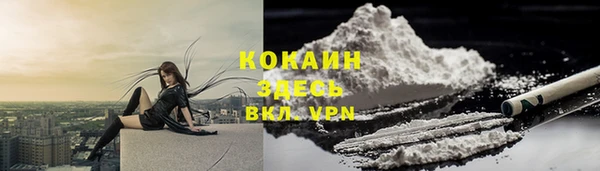 крисы Абдулино