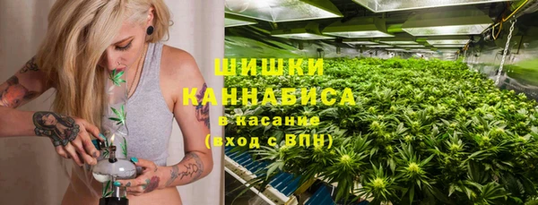 крисы Абдулино