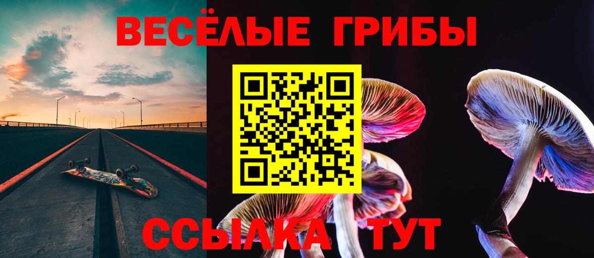 где купить наркоту  Псилоцибиновые грибы Psilocybine cubensis  Вход с VPN  Абинск 